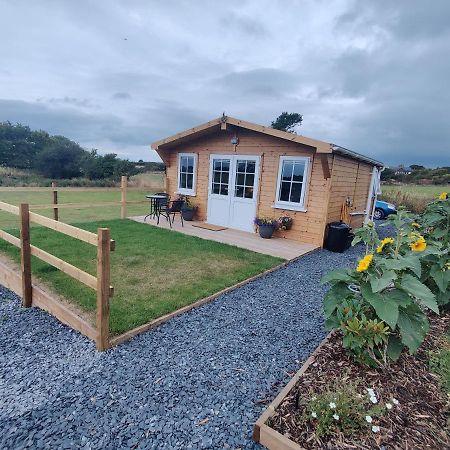 Bumble Bee Cabin Bootle  外观 照片