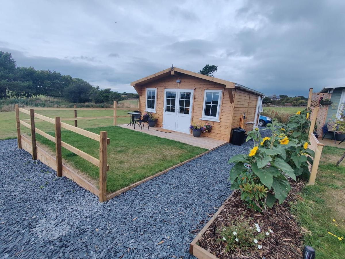 Bumble Bee Cabin Bootle  外观 照片